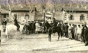 853- Tiaret - La jumenterie